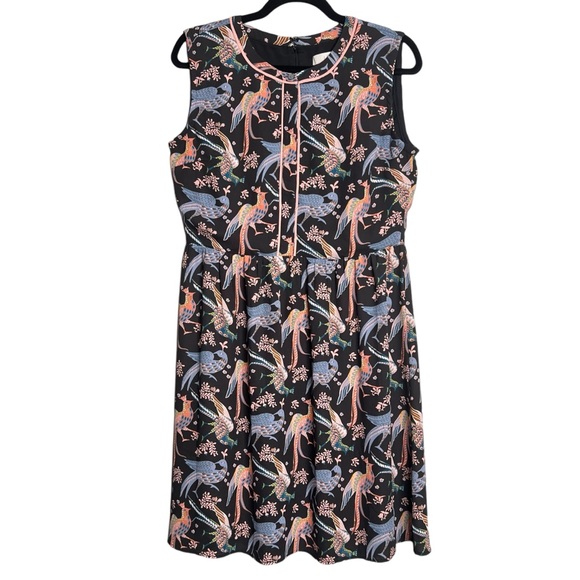 LOFT Dresses & Skirts - Ann Taylor Loft Snowbird Peacock Print Fit & Flare Dress Black Size 8 Petite